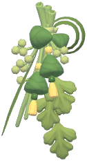 Mugwort Hanging Decor