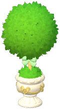Round Topiary Tree