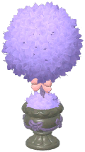 Round Topiary Tree