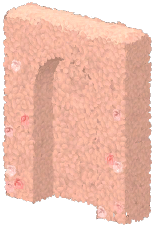 Rosa Garden Wall