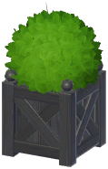 Outdoor Planter