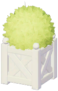 Outdoor Planter