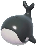 Black Splash Whale