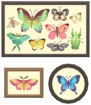 Insect Wall Art Set #2