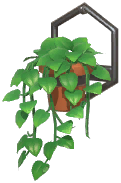 Potted Golden Pothos