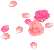 Rosa Duckweed