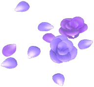Rosa Duckweed