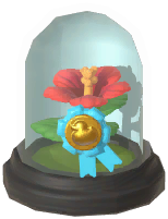 Preserved Hibiscus