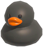 Little Black Duck