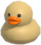 Little Tawny Duck