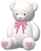 Small Toy Bear