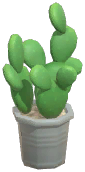 Potted Cactus
