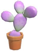 Potted Cactus