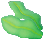 Wakame