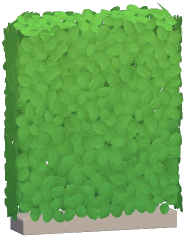 Hedge