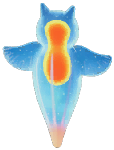 Blue Sea Angel