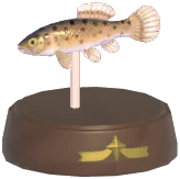 Certified Mark (European Mudminnow)