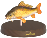 Certified Mark (Common Carp)