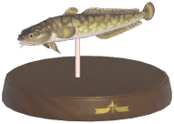 Certified Mark (Burbot)