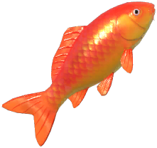 Red Koi
