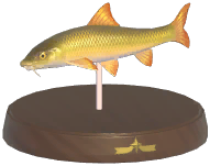 Certified Mark (Barbel)