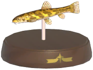 Certified Mark (Stone Loach)