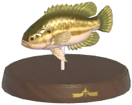 Certified Mark (Mud Sunfish)