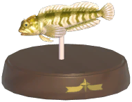 Certified Mark (Freshwater Blenny)