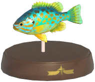 Certified Mark (Pumpkinseed)