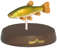 Certified Mark (Tench)