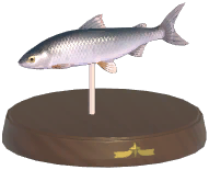 Certified Mark (Common Whitefish)