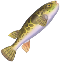 Tiger Puffer
