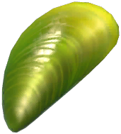 Jade Mussel
