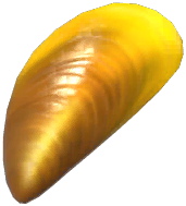 Golden Mussel