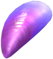 Purple Diamond Mussel