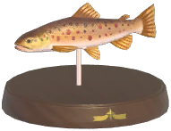 Certified Mark (Trout)