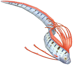 Giant Oarfish