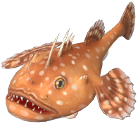 Anglerfish