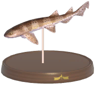 Certified Mark (Nursehound)