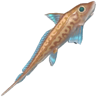 Rabbit Fish