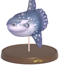Certified Mark (Ocean Sunfish)