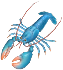 European Lobster