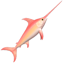 Pink Swordfish