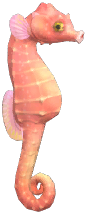 Pink Seahorse