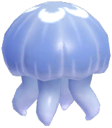 Moon Jelly