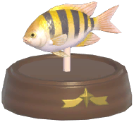 Certified Mark (Blackspot Sergeant)