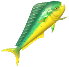 Mahi-Mahi