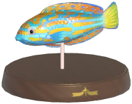 Certified Mark (Blue-and-Yellow Wrasse)