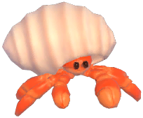 Hermit Crab