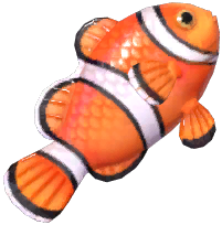 Clownfish
